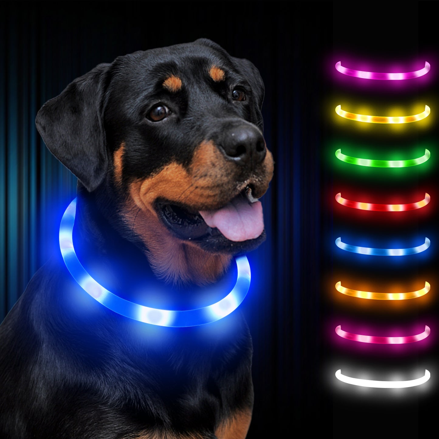 JOYTALE LED Glowing Pet Collar with USB Rechargeable Safety Light for Dogs & Cats