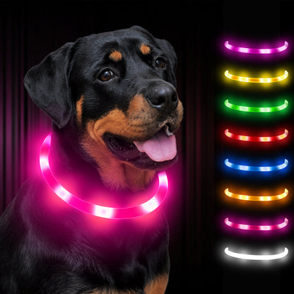 JOYTALE LED Glowing Pet Collar with USB Rechargeable Safety Light for Dogs & Cats
