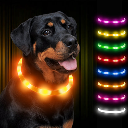JOYTALE LED Glowing Pet Collar with USB Rechargeable Safety Light for Dogs & Cats
