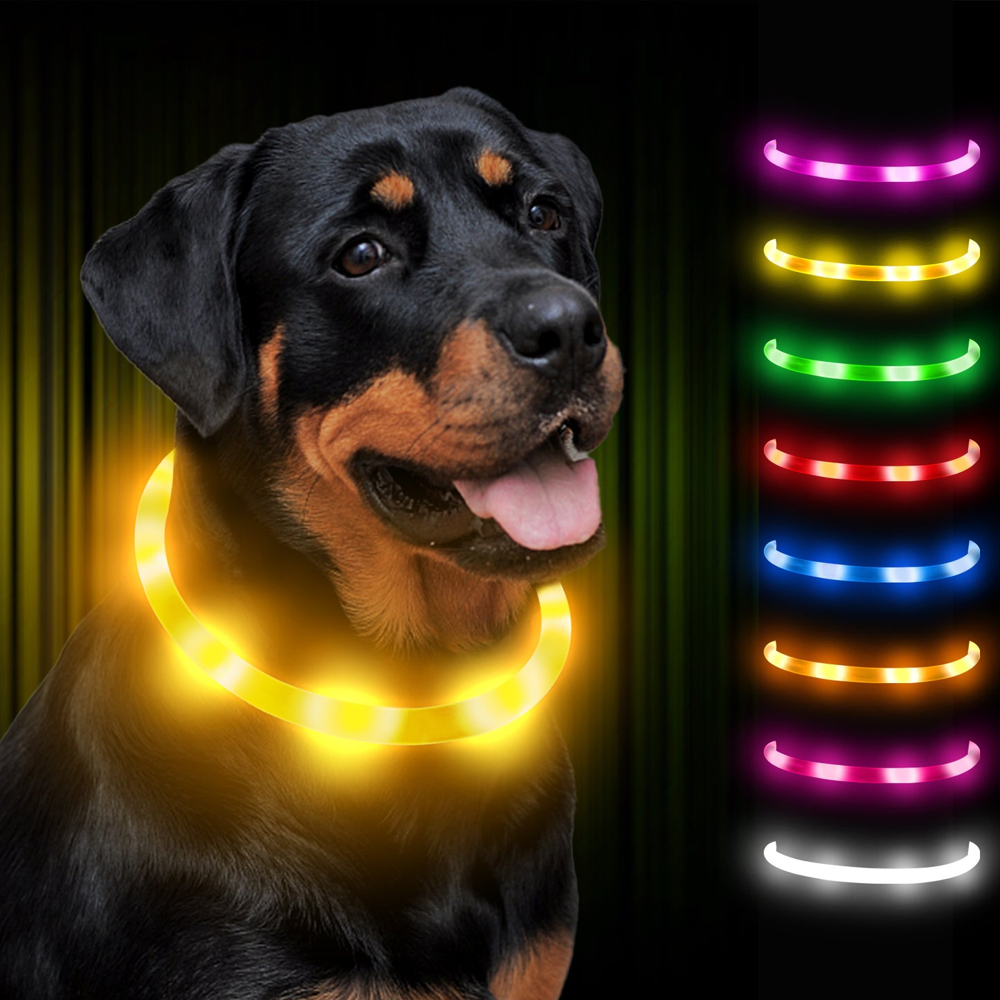 JOYTALE LED Glowing Pet Collar with USB Rechargeable Safety Light for Dogs & Cats