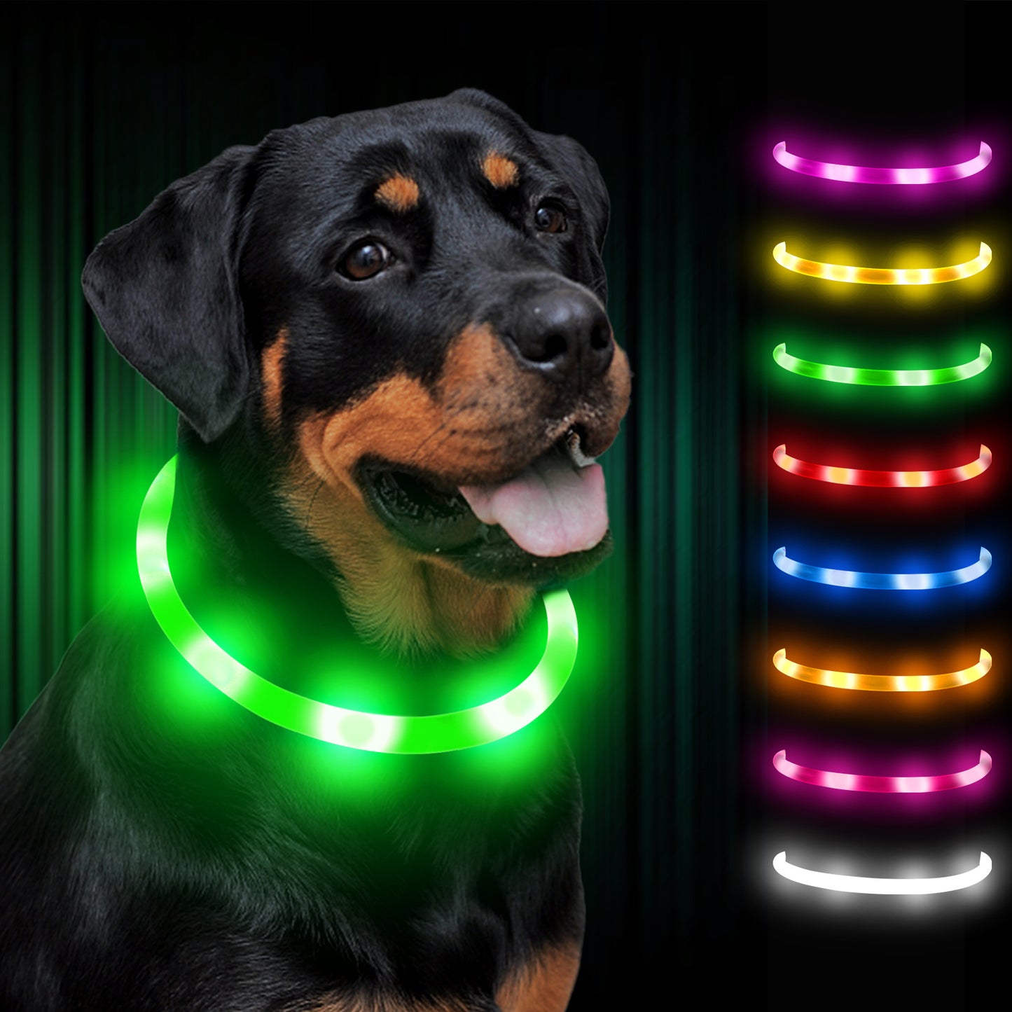JOYTALE LED Glowing Pet Collar with USB Rechargeable Safety Light for Dogs & Cats