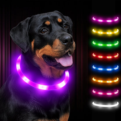 JOYTALE LED Glowing Pet Collar with USB Rechargeable Safety Light for Dogs & Cats