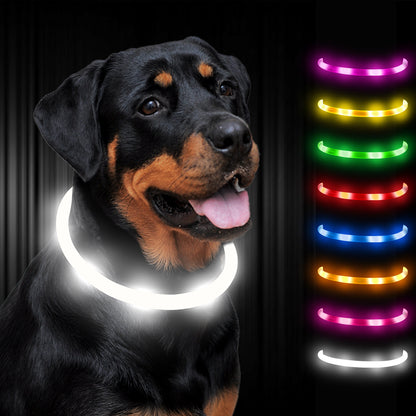 JOYTALE LED Glowing Pet Collar with USB Rechargeable Safety Light for Dogs & Cats