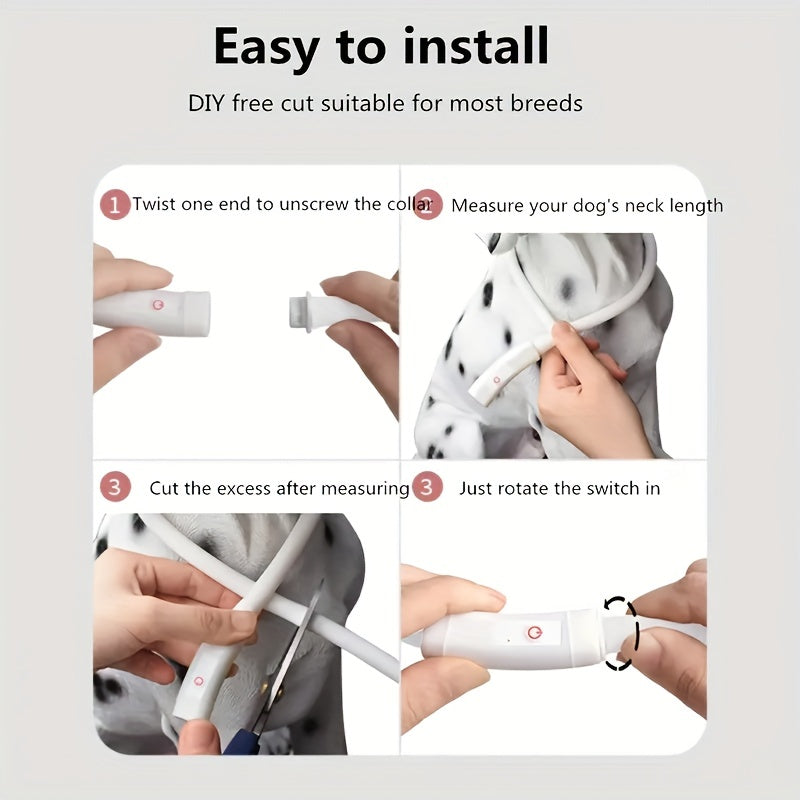USB Rechargeable LED Dog Collar