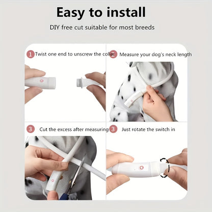 USB Rechargeable LED Dog Collar