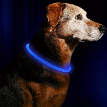 1pc Luminous Companion USB Rechargeable LED Pet Collar