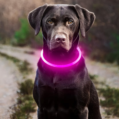 1pc Luminous Companion USB Rechargeable LED Pet Collar
