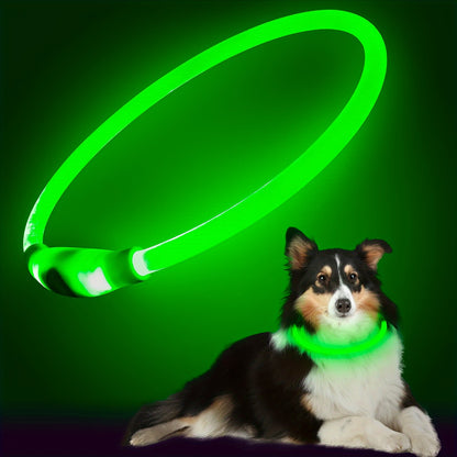 1pc Luminous Companion USB Rechargeable LED Pet Collar