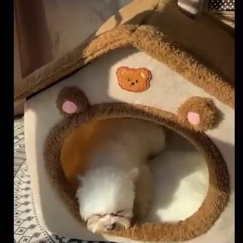 Cozy Cat House Bed - Detachable & Washable, Soft Plush Interior, Winter Warm Pet Nest for Cats and Small Dogs, Easy Assembly, Cute Cat Bed