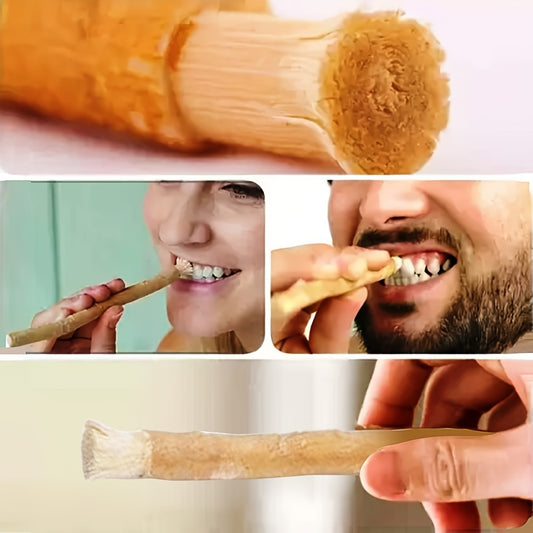 HOME TIMES Natural Arabic Plant Teeth Stick - Authentic Middle Eastern Toothbrush with Ultra-Fine Fiber Bristles for Gentle Adult Oral Care, High-Quality Dental Cleaning