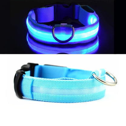 LED Glowing Pet Dog Collar, Luminous Flashing Necklace for Outdoor Walking Night Safety, Non-Rechargeable Button Battery Powered, Polyester Material
