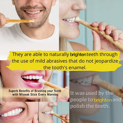HOME TIMES Natural Arabic Plant Teeth Stick - Authentic Middle Eastern Toothbrush with Ultra-Fine Fiber Bristles for Gentle Adult Oral Care, High-Quality Dental Cleaning