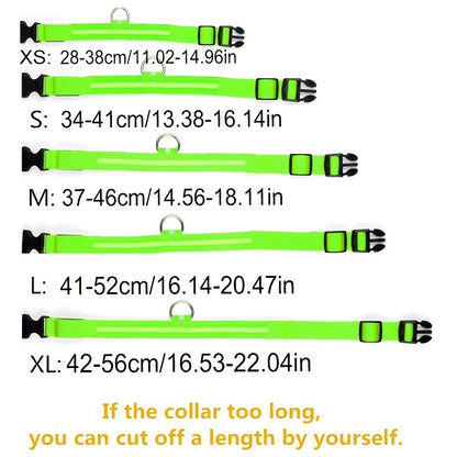 Reflective Light Up Dog Collar - Adjustable, Striped, Glowing for Night Safety and Visibility