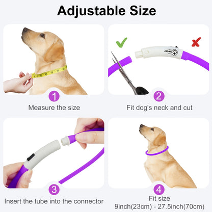 JOYTALE LED Glowing Pet Collar with USB Rechargeable Safety Light for Dogs & Cats