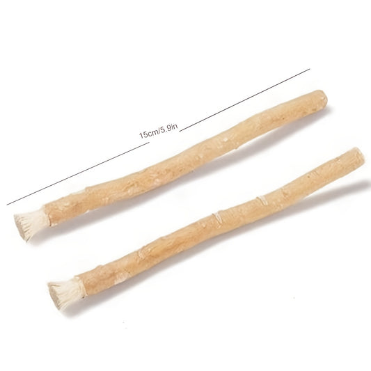 HOME TIMES Natural Arabic Plant Teeth Stick - Authentic Middle Eastern Toothbrush with Ultra-Fine Fiber Bristles for Gentle Adult Oral Care, High-Quality Dental Cleaning