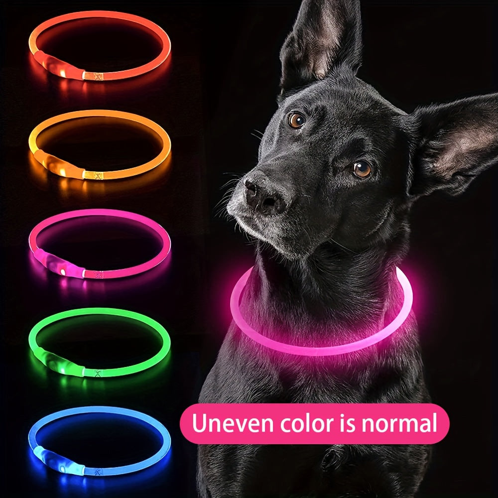 USB Rechargeable LED Dog Collar