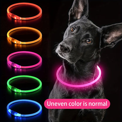 USB Rechargeable LED Dog Collar