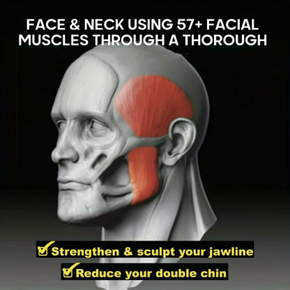1pc Silica Gel Jaw Exerciser, Face Stress Ball, Jawline Facial Muscle Trainer, Home Fitness Exercise Equipment